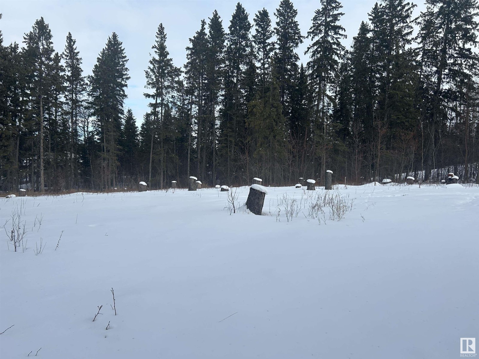 Photo 14 of 4 53120 Rge Road 15, Rural Parkland County AB