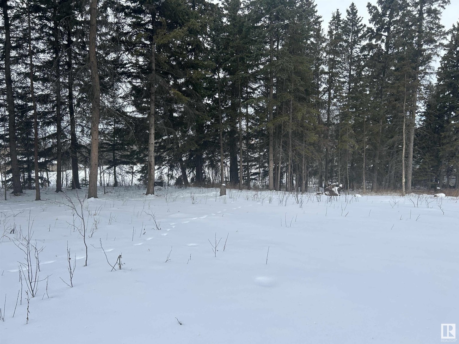 Photo 13 of 4 53120 Rge Road 15, Rural Parkland County AB