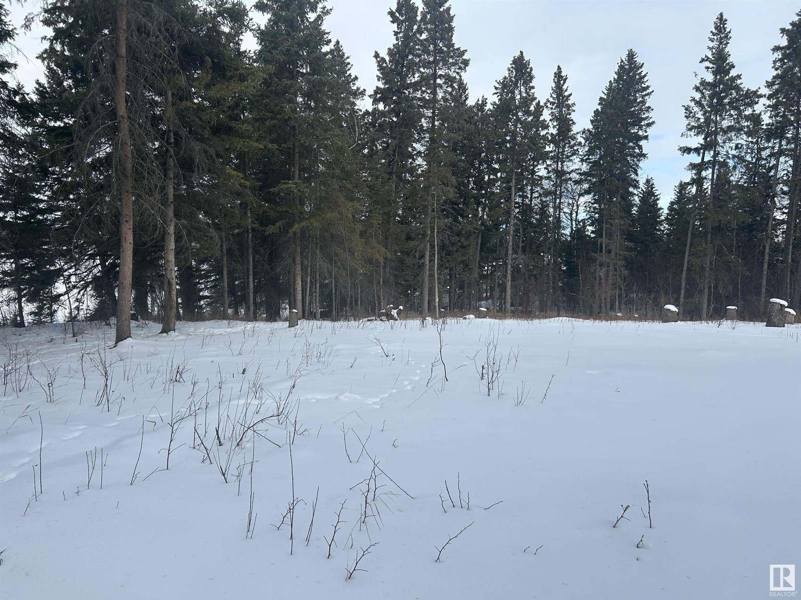 Photo 15 of 4 53120 Rge Road 15, Rural Parkland County AB