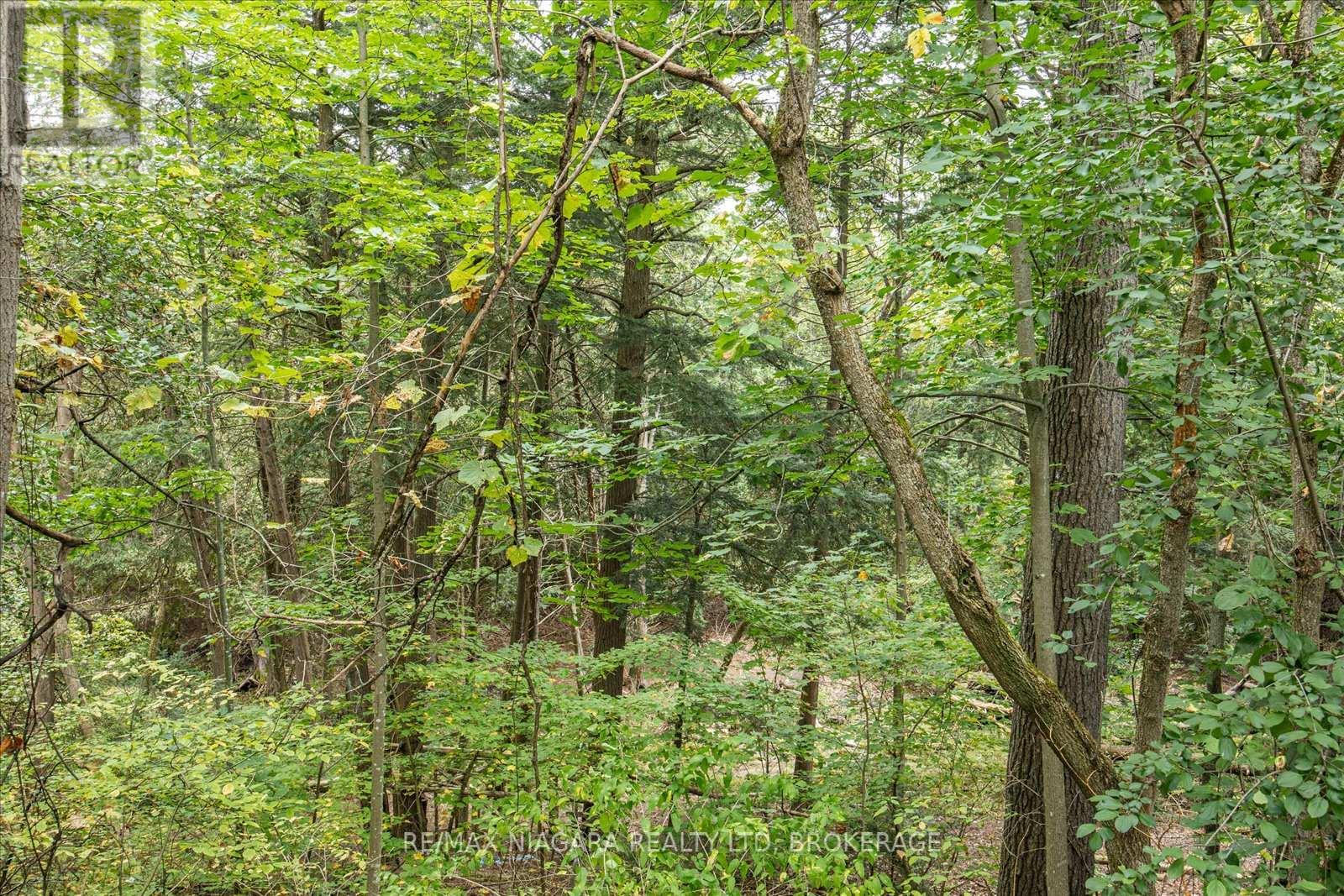 Photo 26 of 4581 County Rd 45 Road, Hamilton Township ON