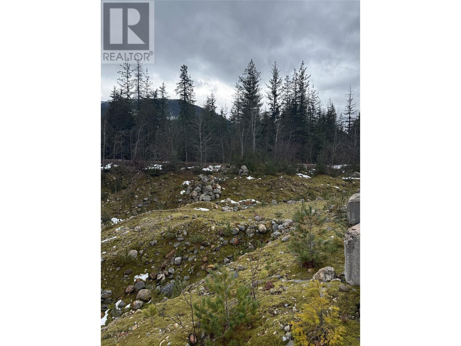 Photo 8 of 5597 Avoca Road, Malakwa BC