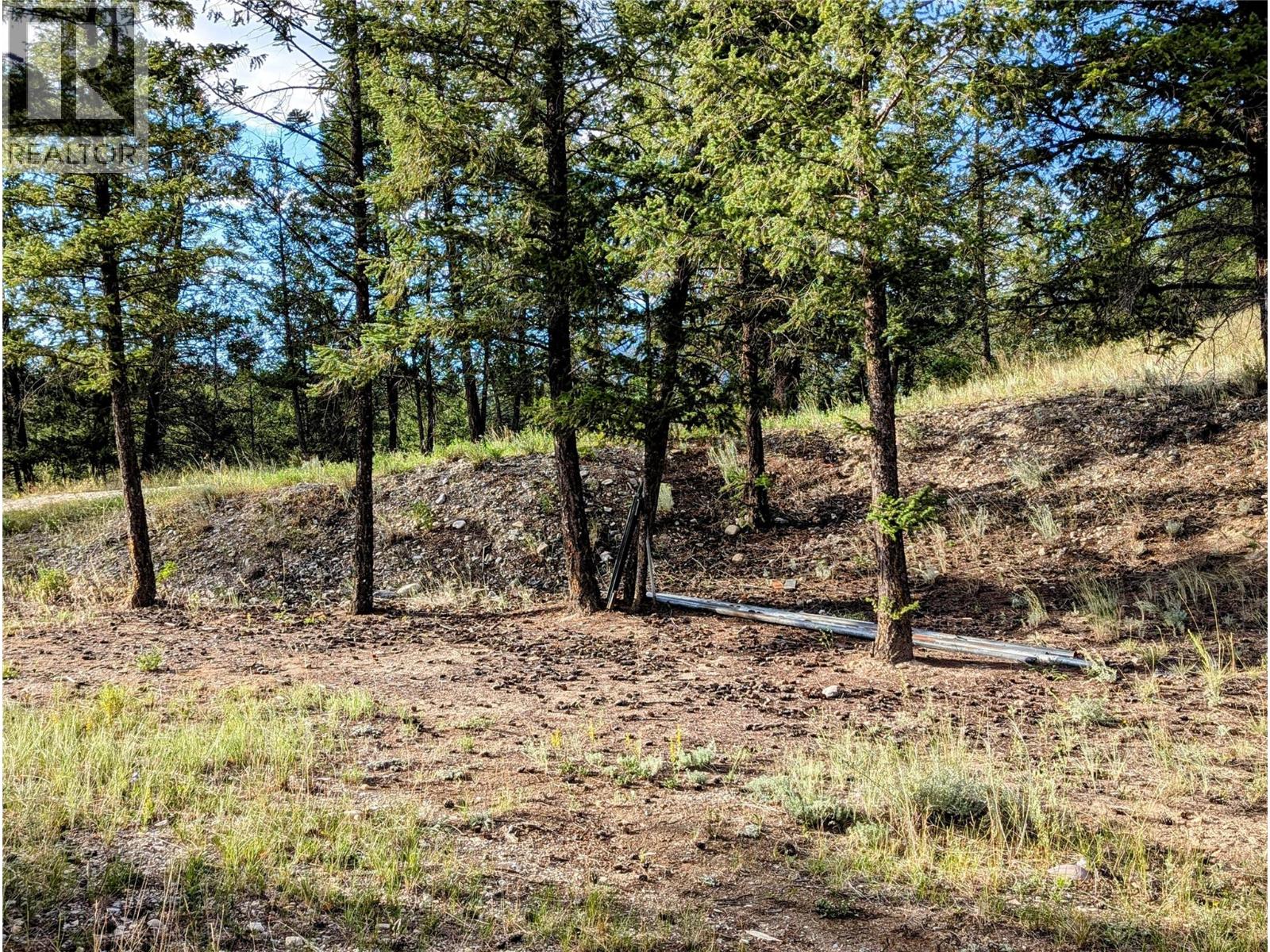 Photo 7 of 2400 Kootenay Rd No 3 Road Lot 2, Windermere BC