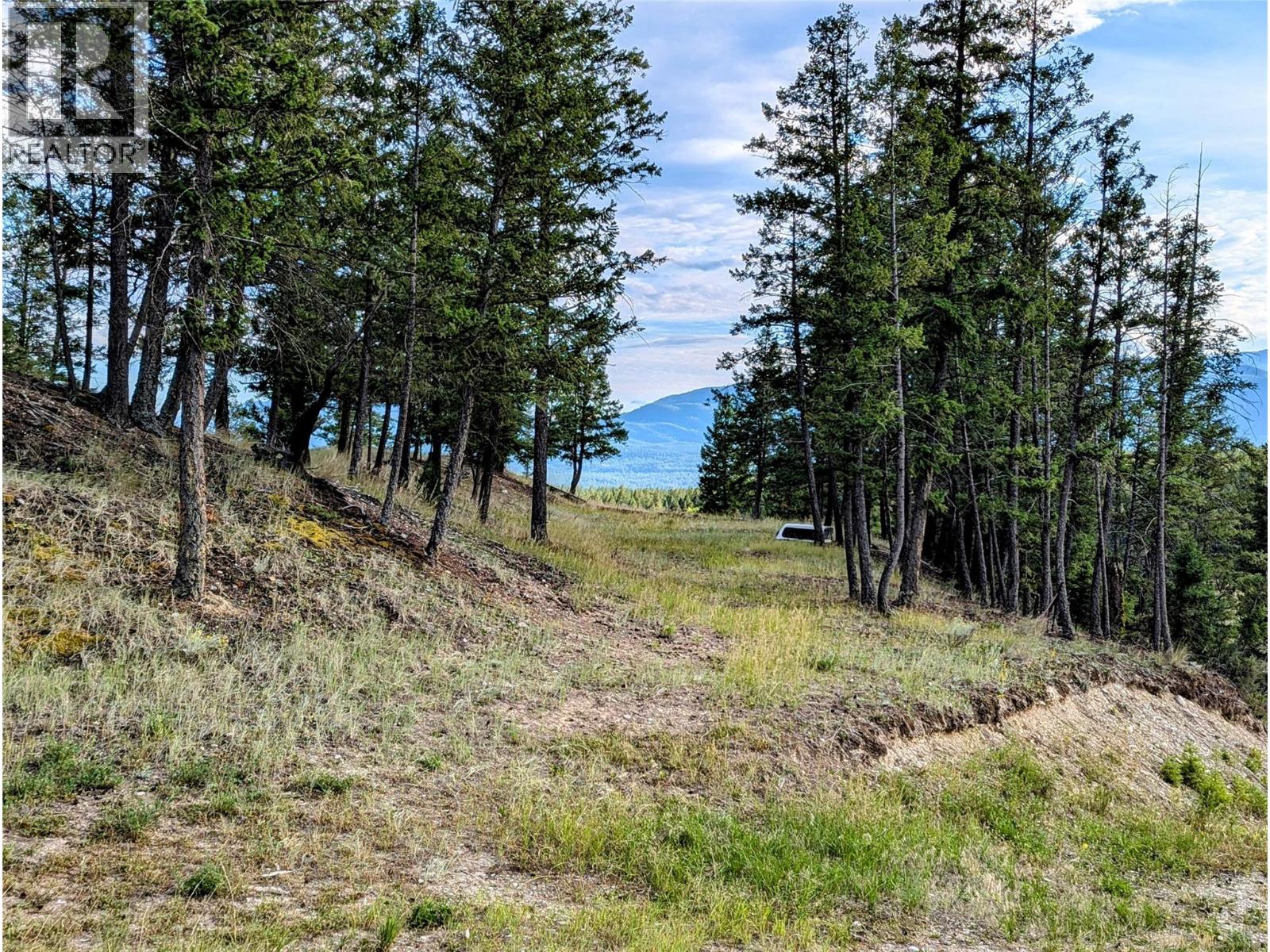 Photo 11 of 2400 Kootenay Rd No 3 Road Lot 2, Windermere BC