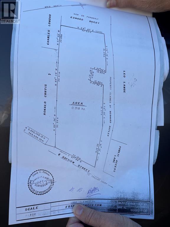 Survey for the large lot