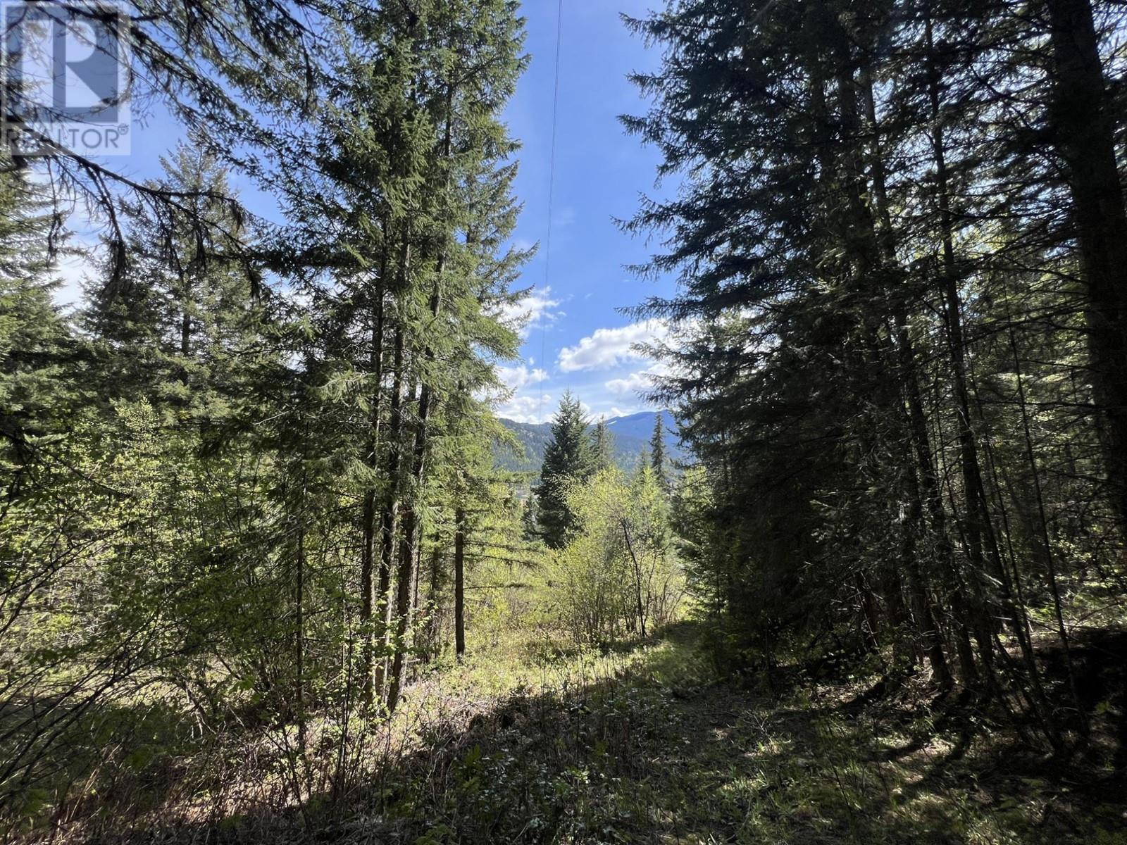 Photo 10 of Lot 2 Lois Lane, Winlaw BC