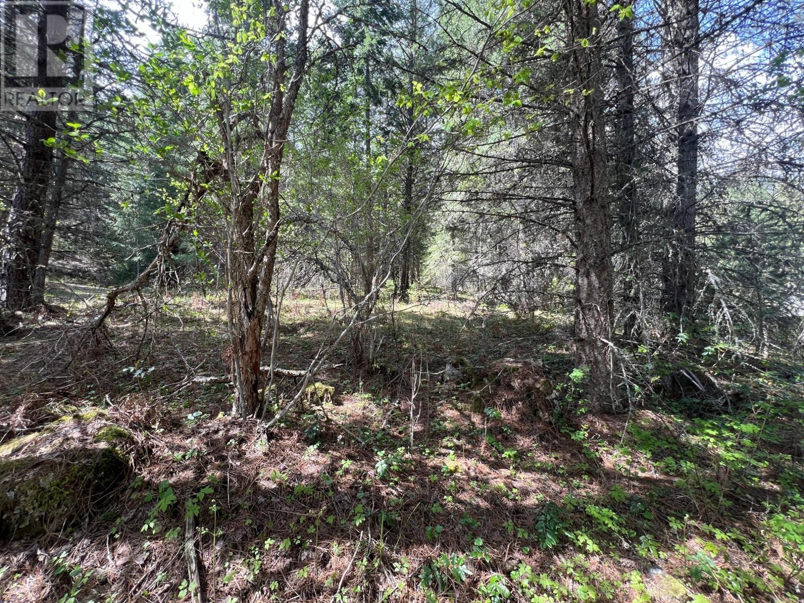 Photo 12 of Lot 2 Lois Lane, Winlaw BC