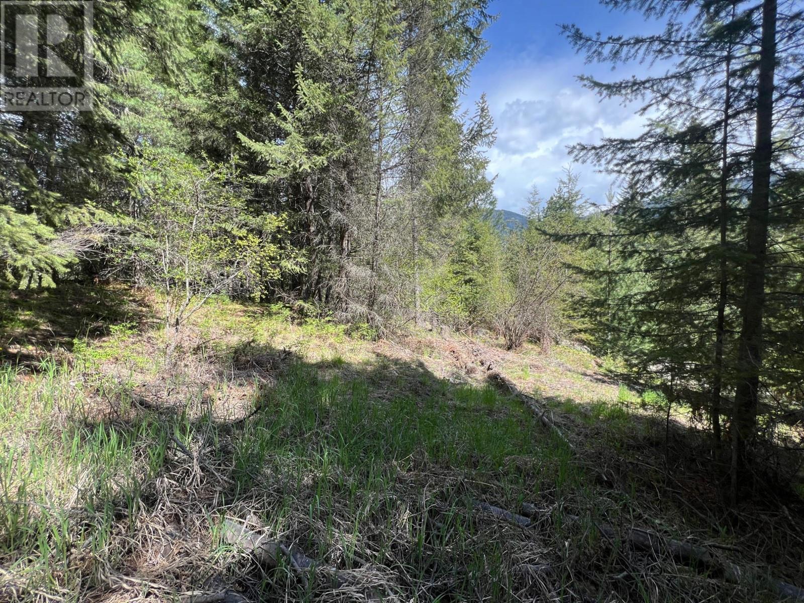 Photo 14 of Lot 2 Lois Lane, Winlaw BC