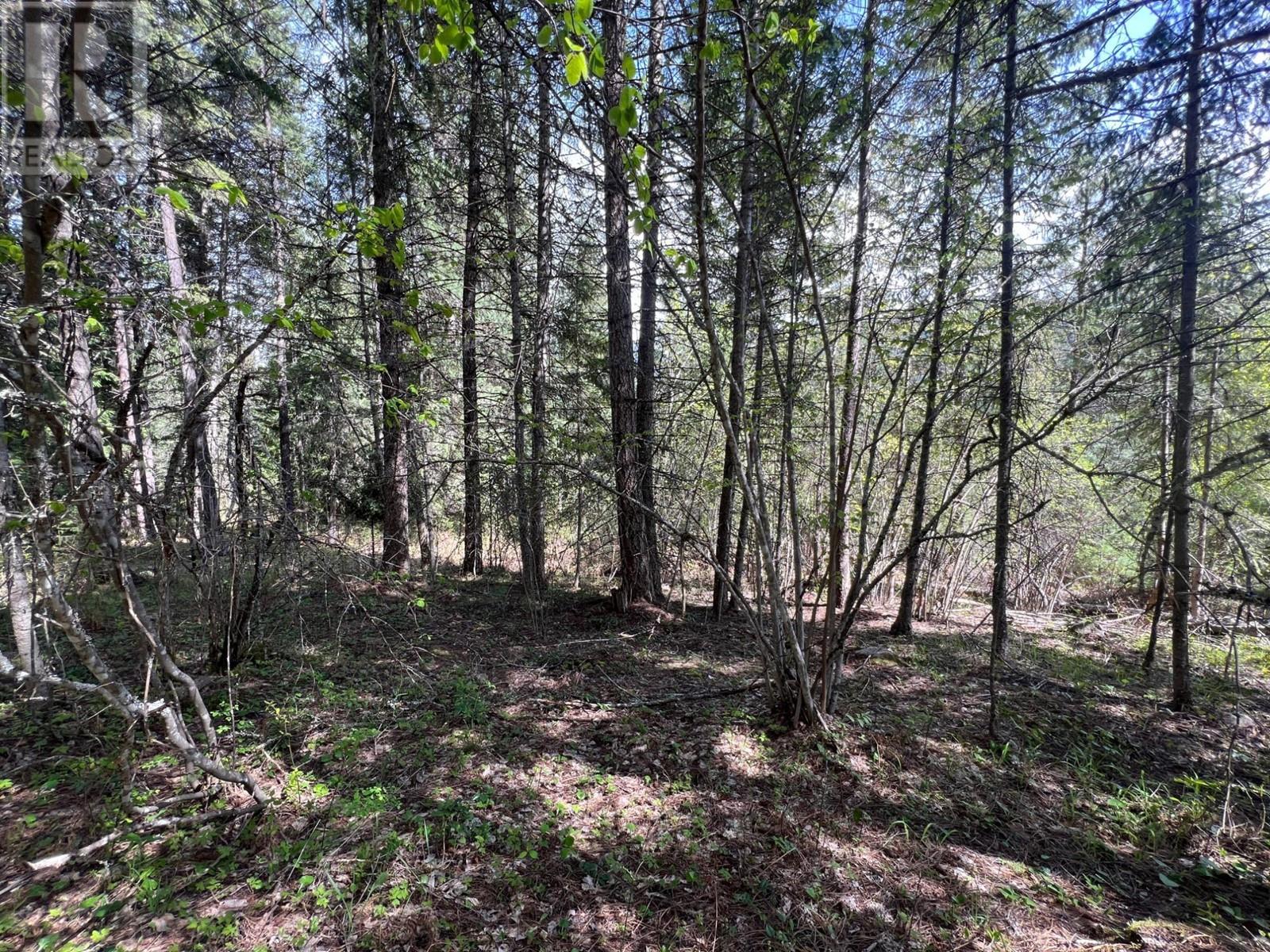 Photo 15 of Lot 2 Lois Lane, Winlaw BC