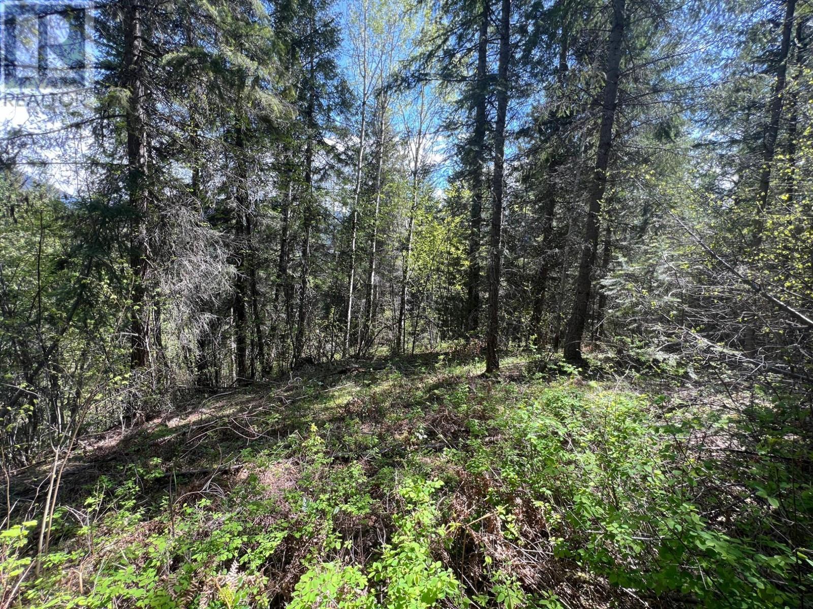 Photo 4 of Lot 2 Lois Lane, Winlaw BC