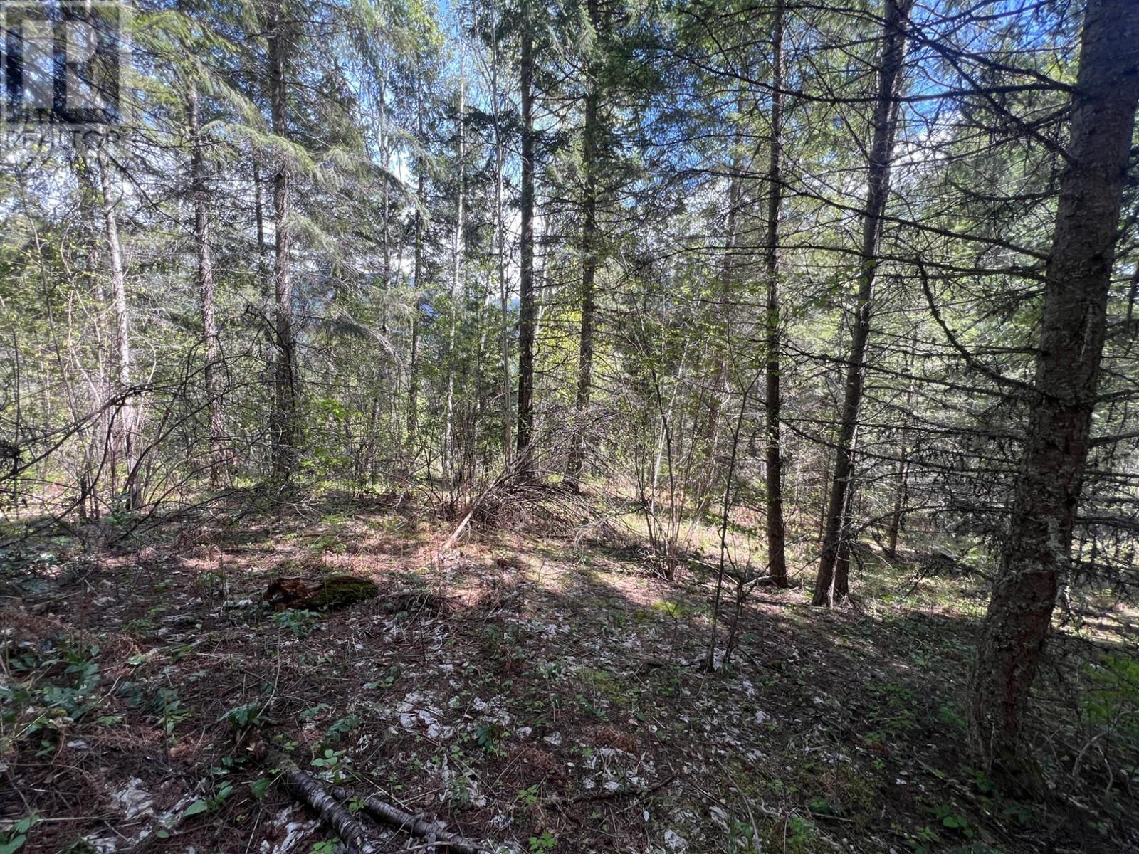Photo 5 of Lot 2 Lois Lane, Winlaw BC