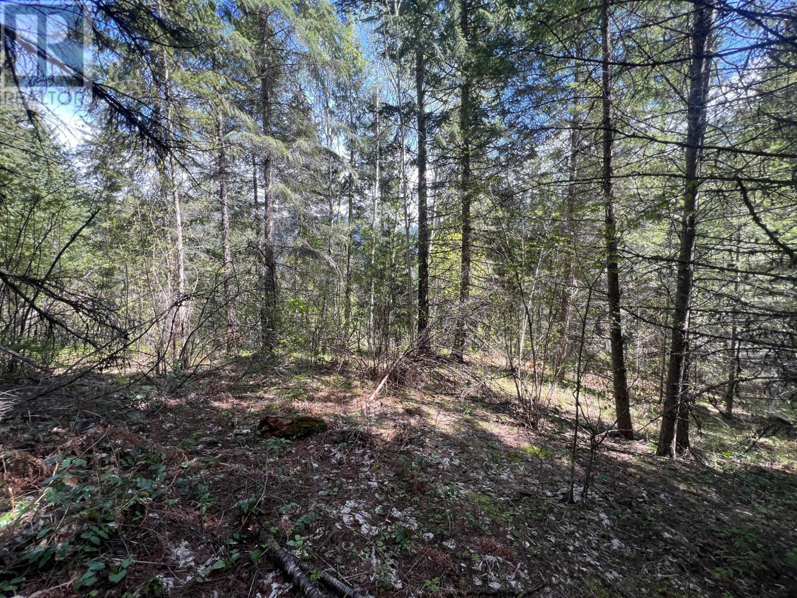 Photo 6 of Lot 2 Lois Lane, Winlaw BC