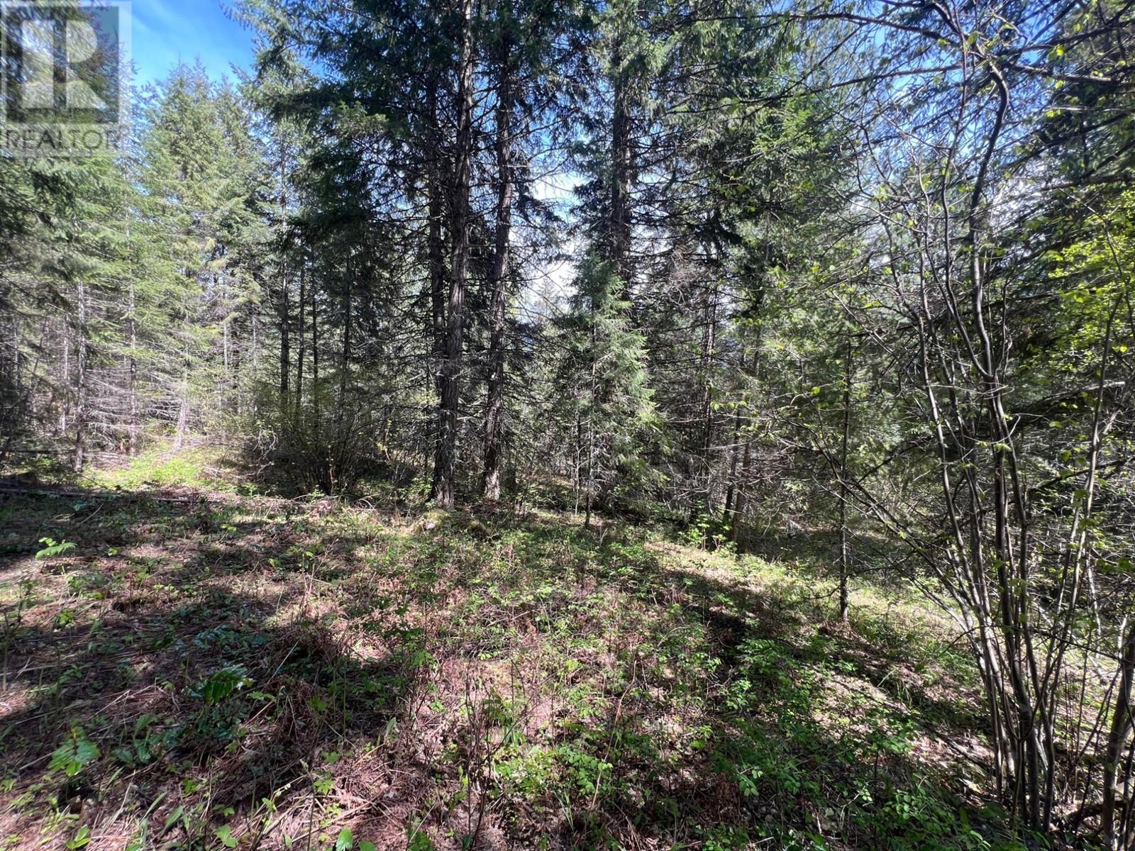 Photo 7 of Lot 2 Lois Lane, Winlaw BC
