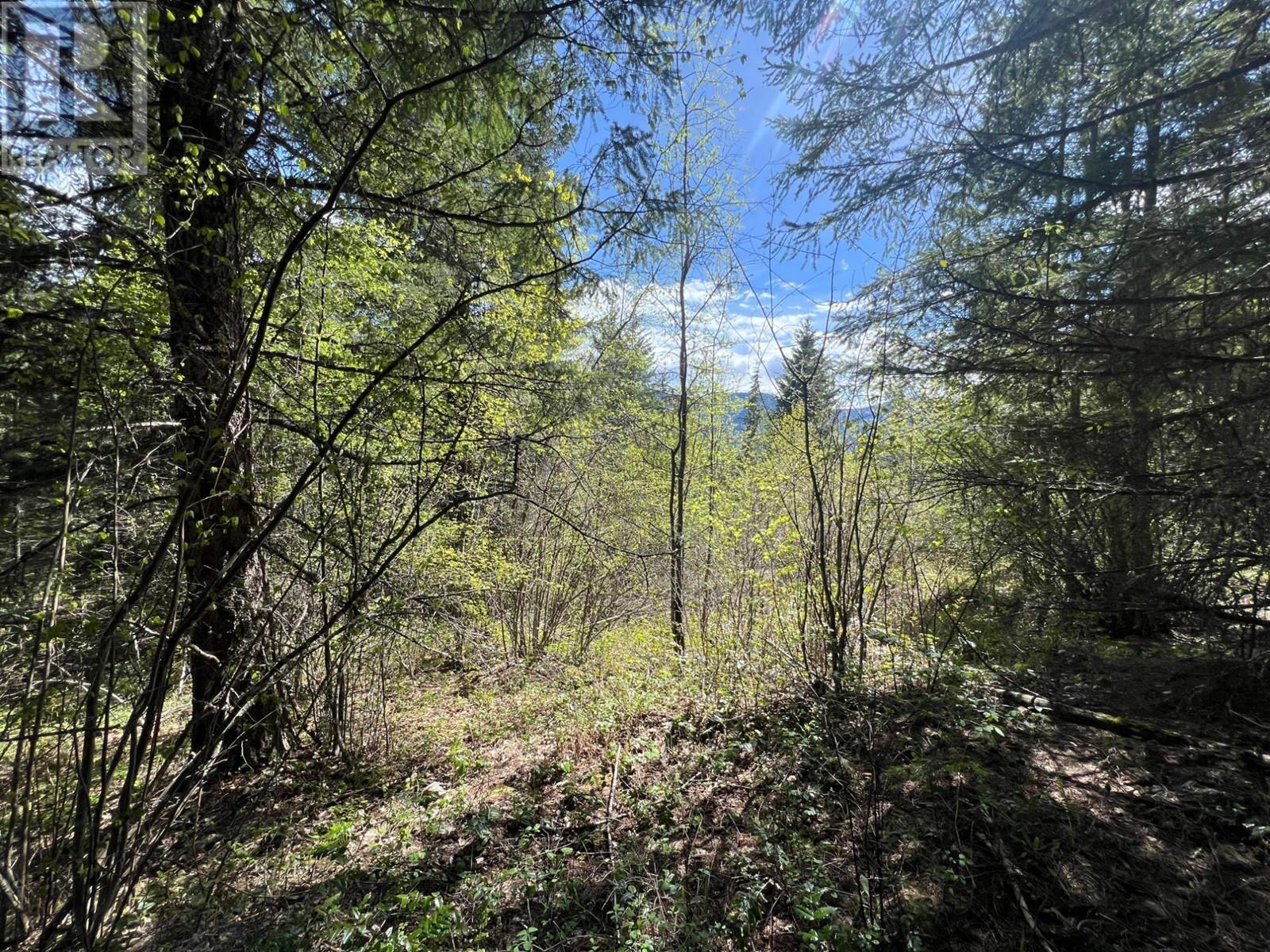 Photo 8 of Lot 2 Lois Lane, Winlaw BC