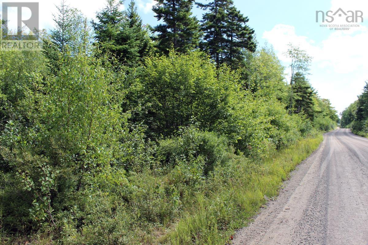 Property 3 of 5 of Lot 5 Trout Lake Road