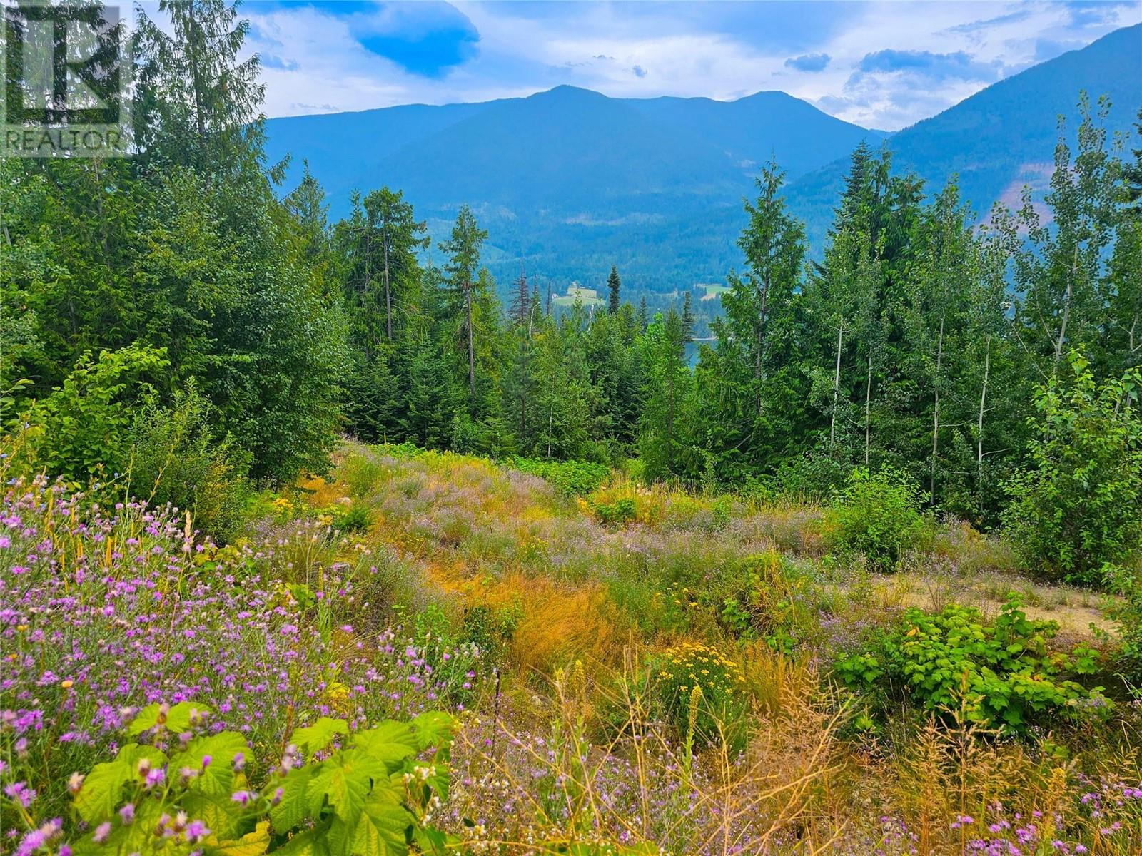 Photo 1 of 421 Mountain View Drive, Balfour BC