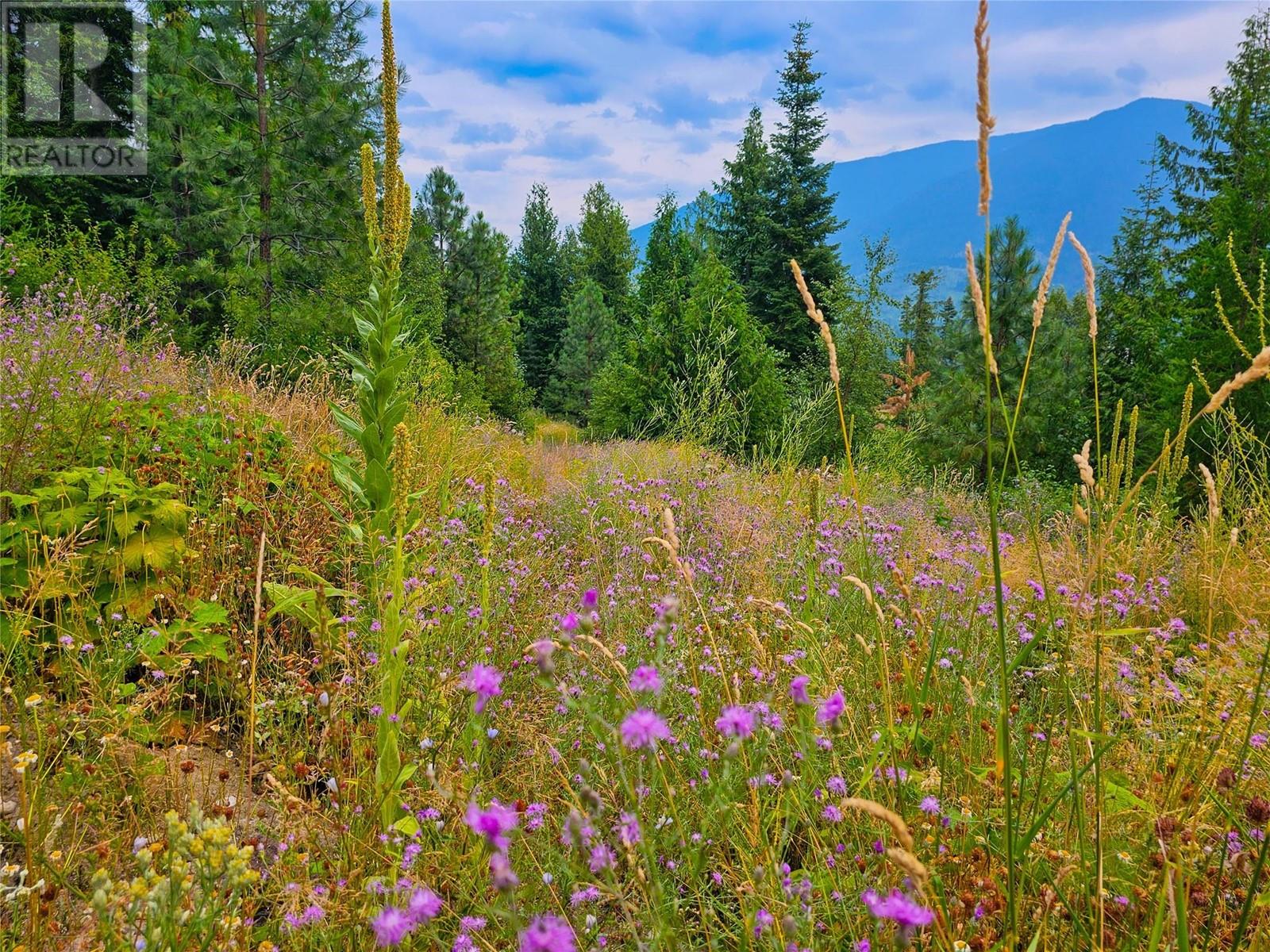 Photo 12 of 421 Mountain View Drive, Balfour BC