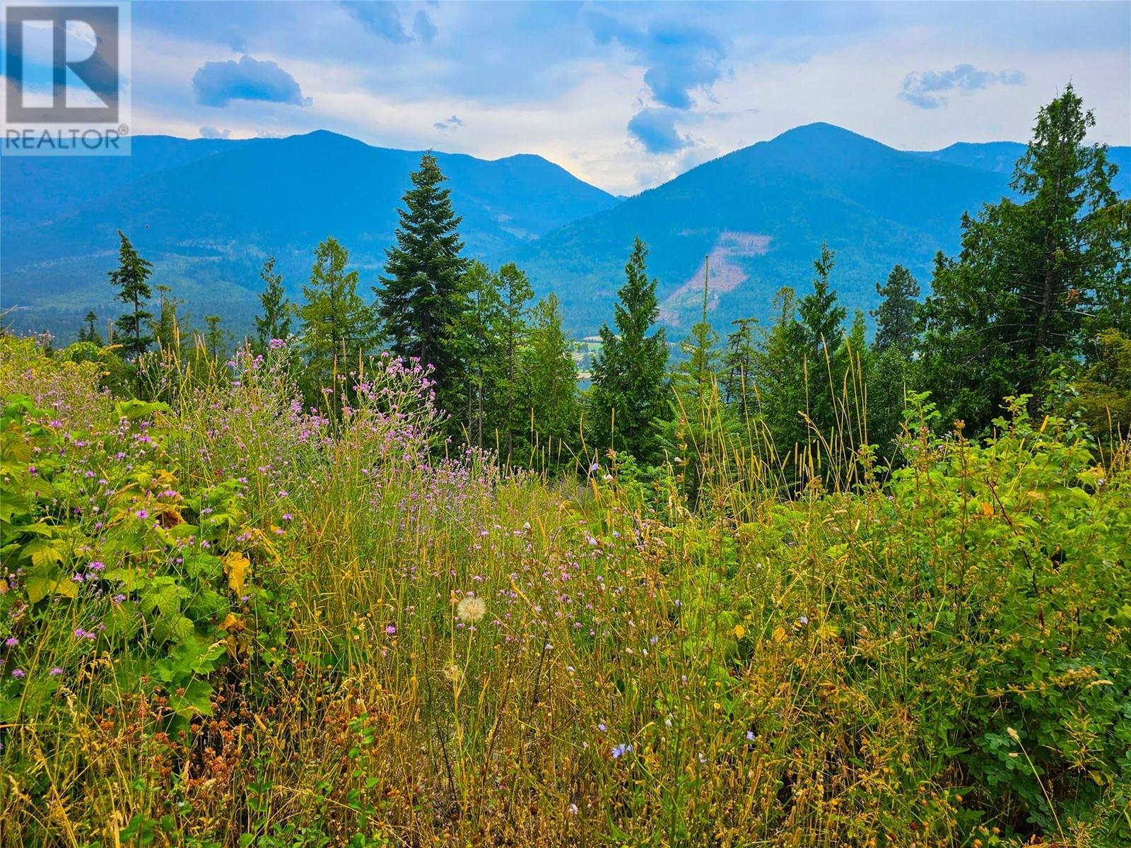 Photo 9 of 421 Mountain View Drive, Balfour BC