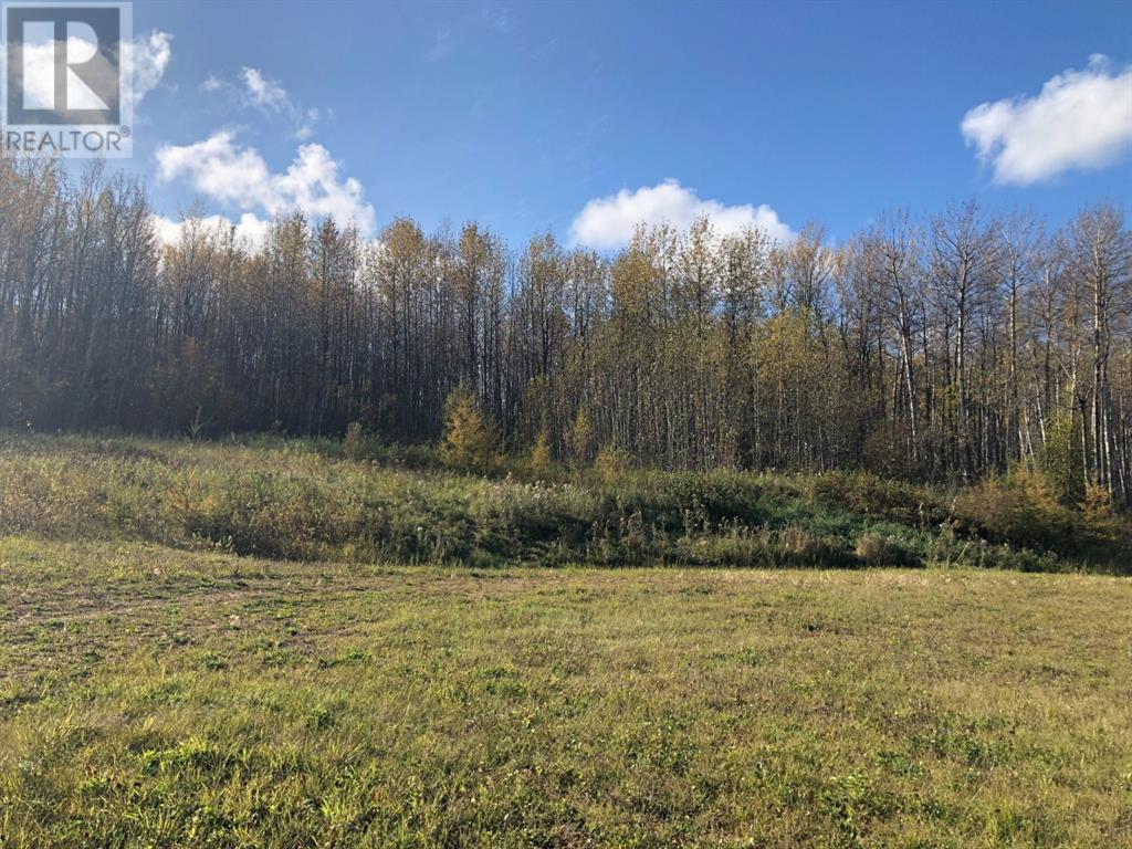 111, 16326 Twp Rd 675 - Photo 4 of 7, Plamondon, Alberta