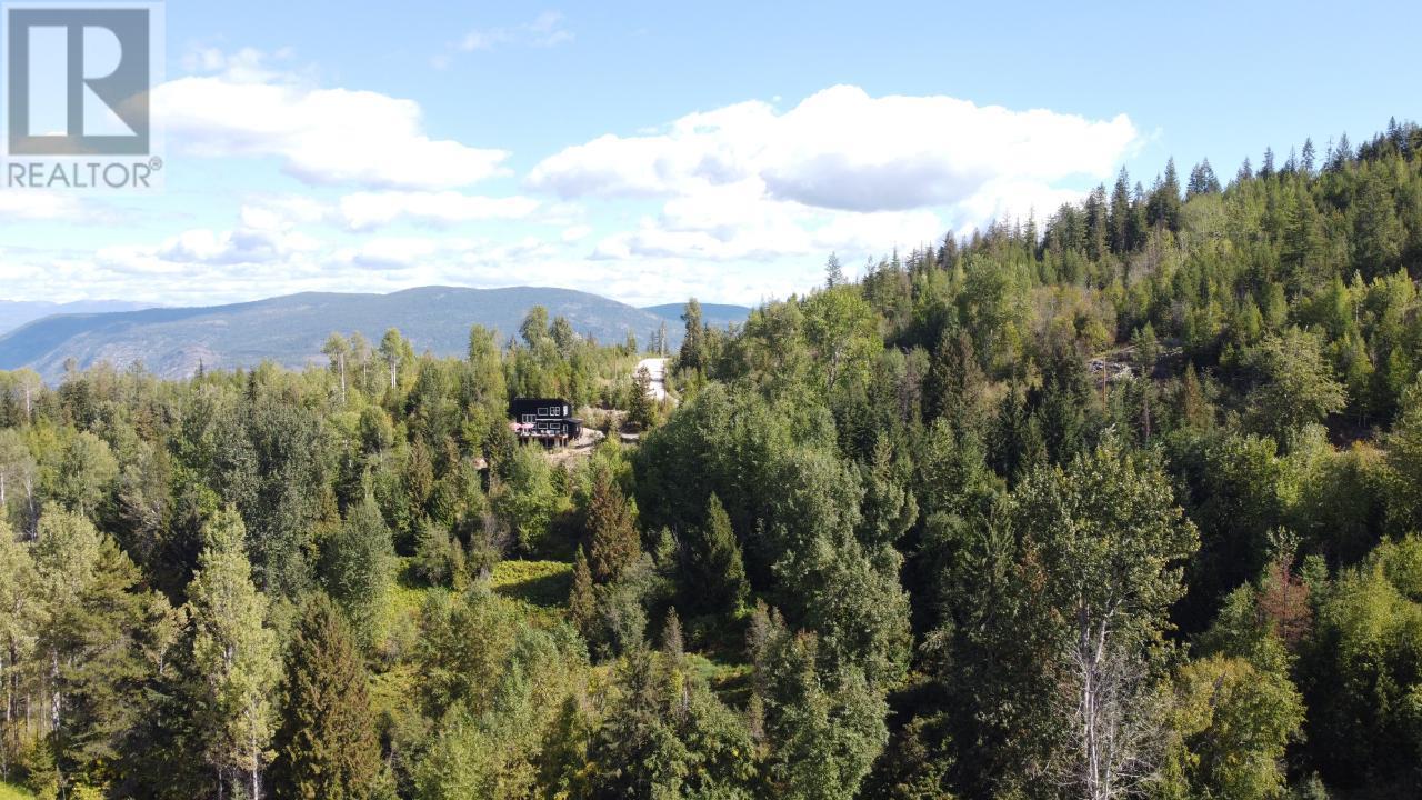 270 RICHIE Road, Rossland