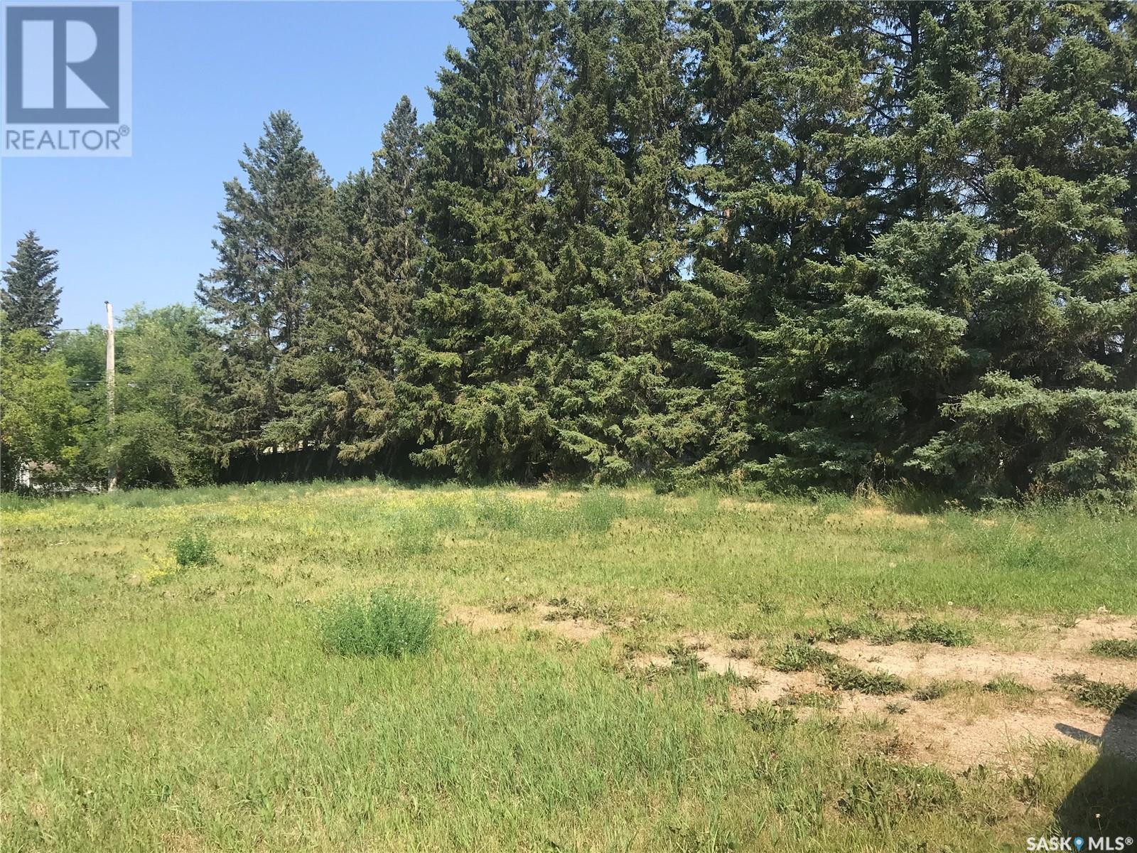 214 Gordon AVENUE - Photo 4 of 5, Orkney Rm No. 244, Saskatchewan