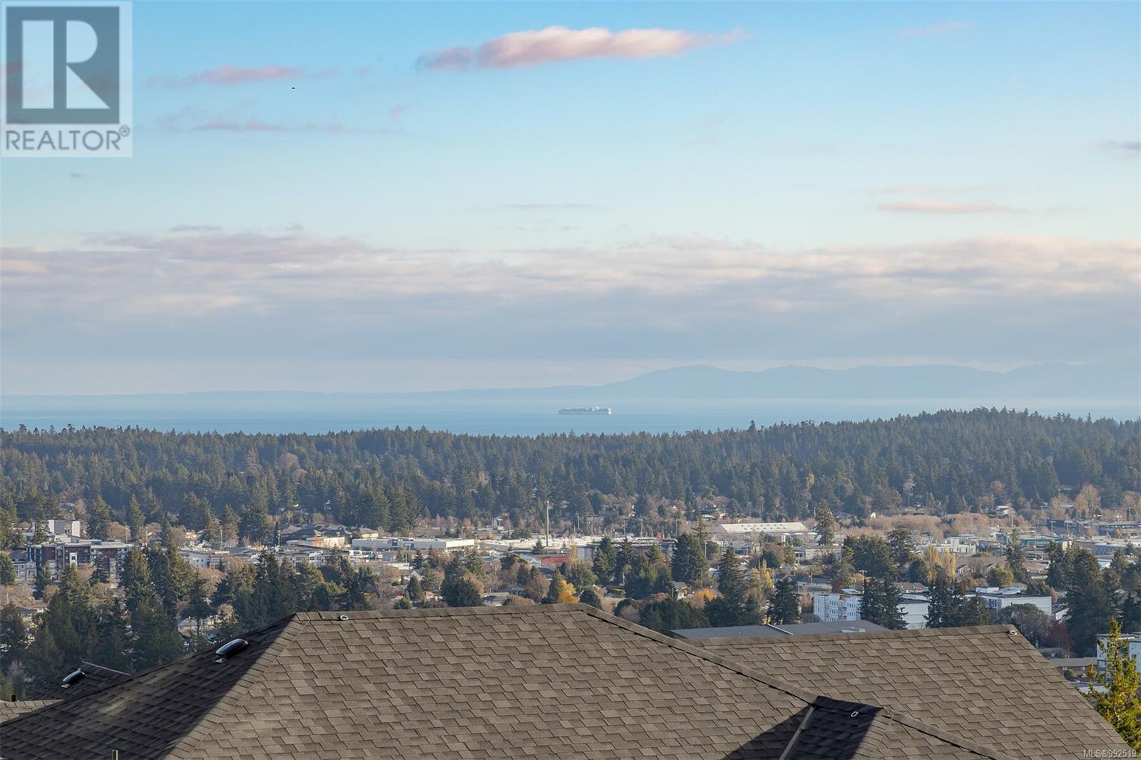 1403 Flint Ave, Langford real estate listing 992519