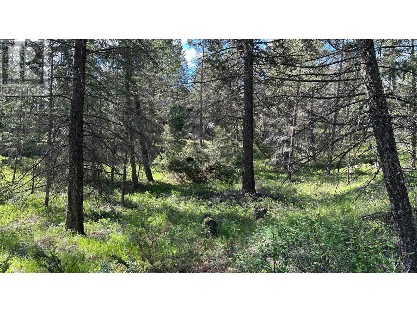 Photo 23 of Lot 18 Rio Vista Point Lot 18, Fairmont Hot Springs BC