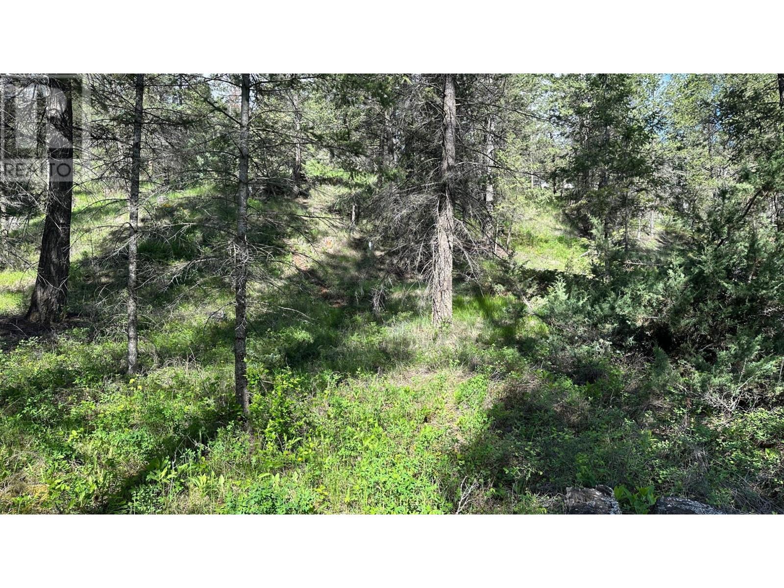 Photo 29 of Lot 18 Rio Vista Point Lot 18, Fairmont Hot Springs BC