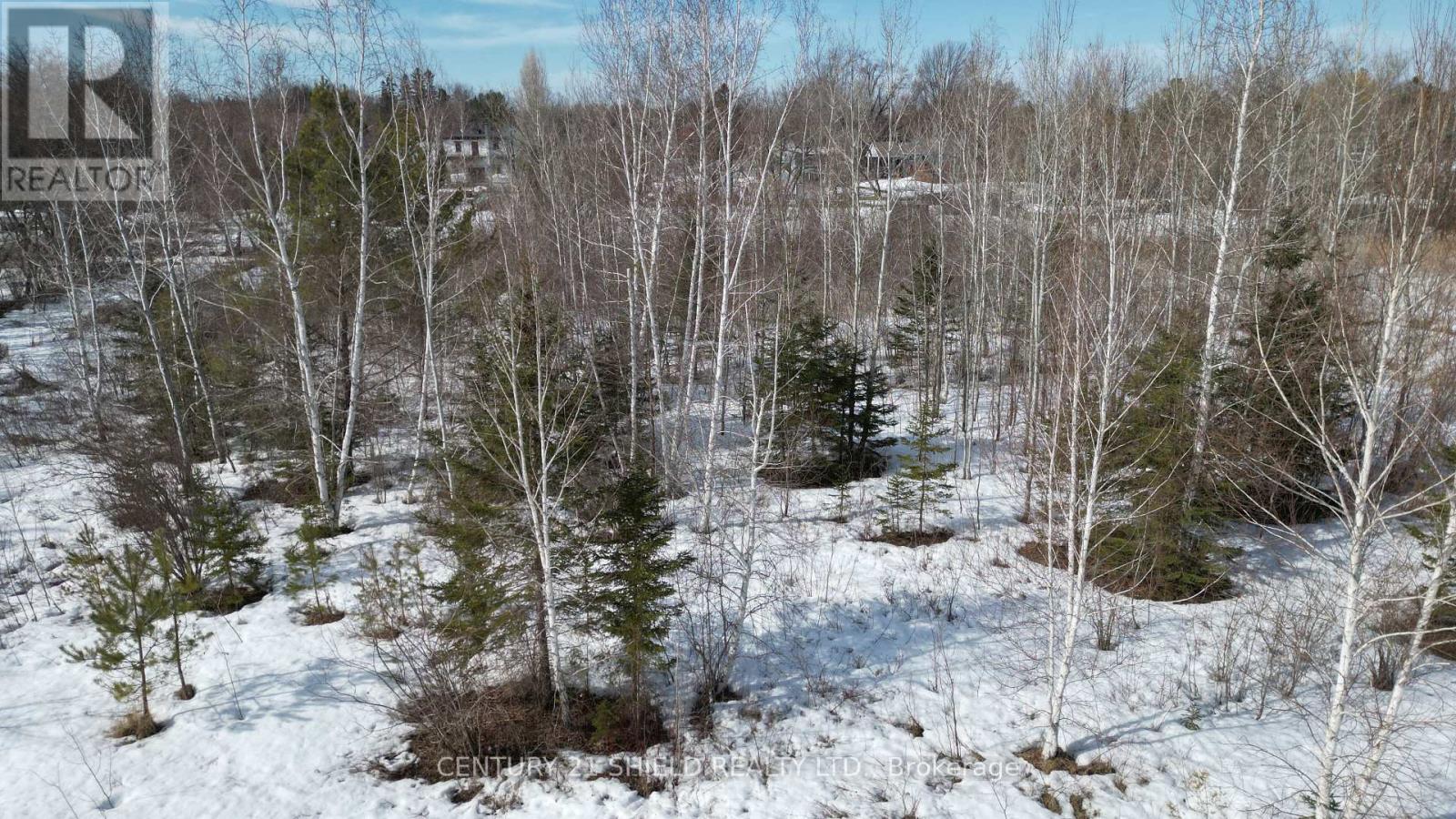 Photo 4 of 21963 Sauve Street, North Glengarry ON
