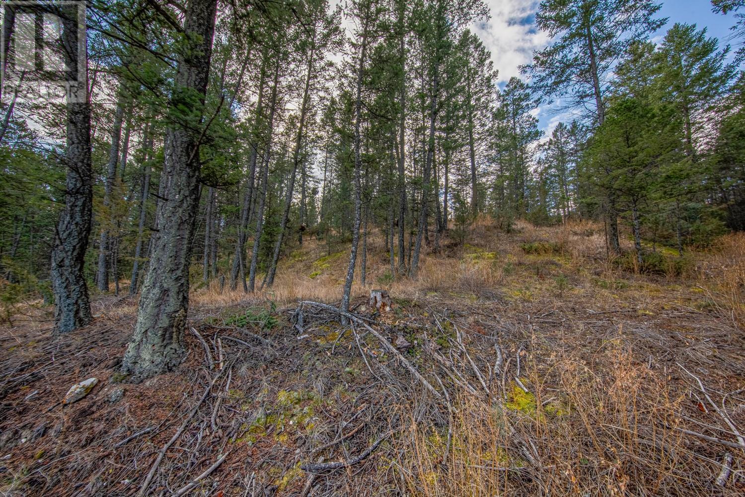LOT 24 VALLEY VISTA Way, Fairmont Hot Springs