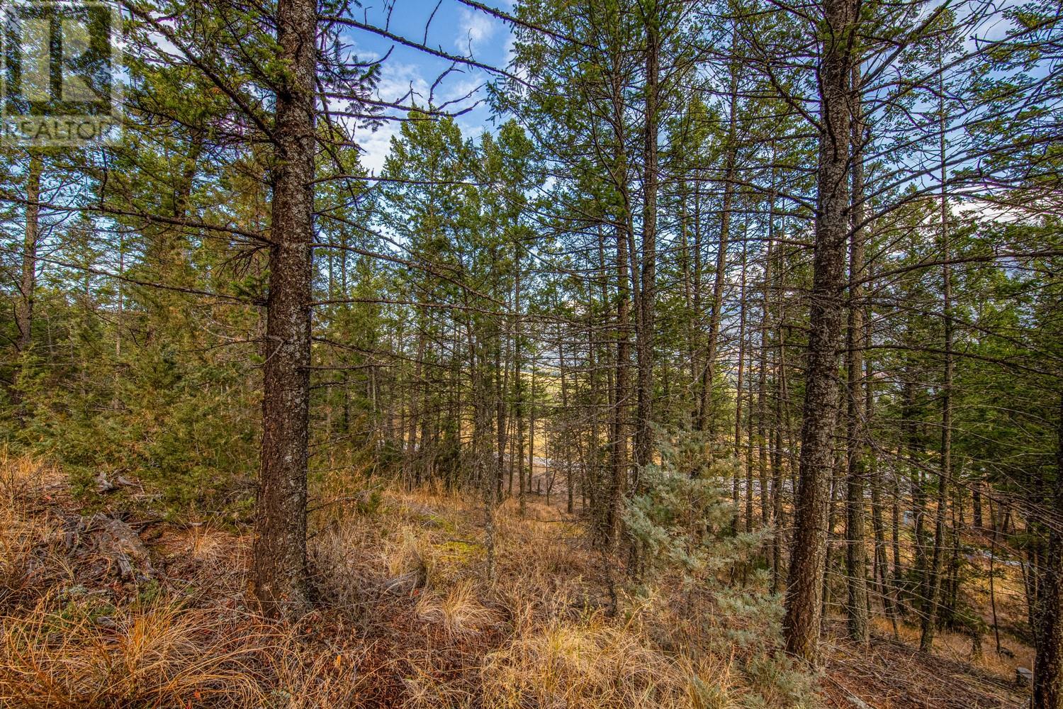 Photo 8 of Lot 24 Valley Vista Way, Fairmont Hot Springs BC