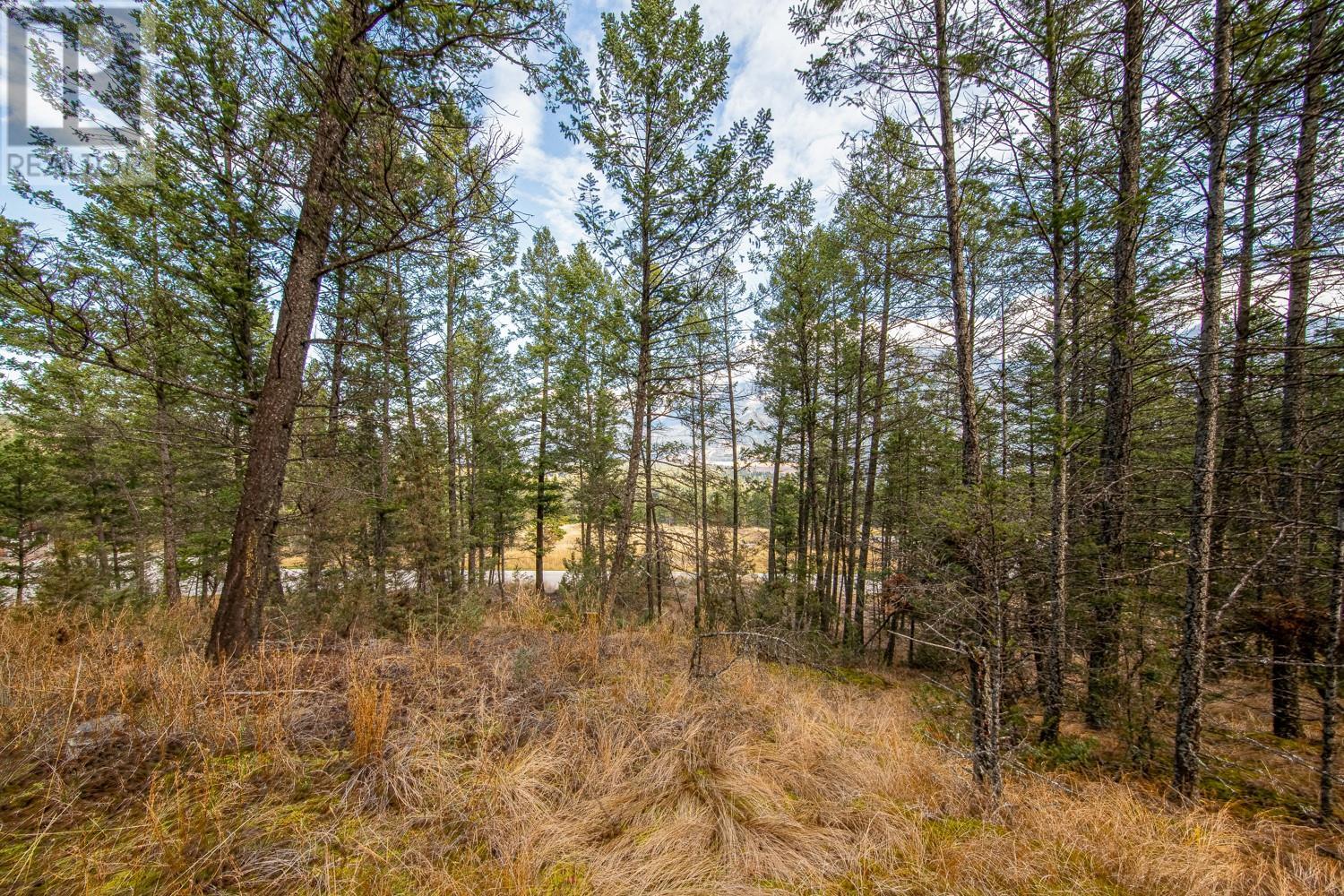 Photo 9 of Lot 24 Valley Vista Way, Fairmont Hot Springs BC