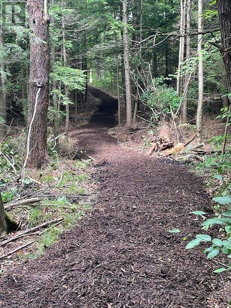 Photo 6 of 4090 17th Side Road, King ON