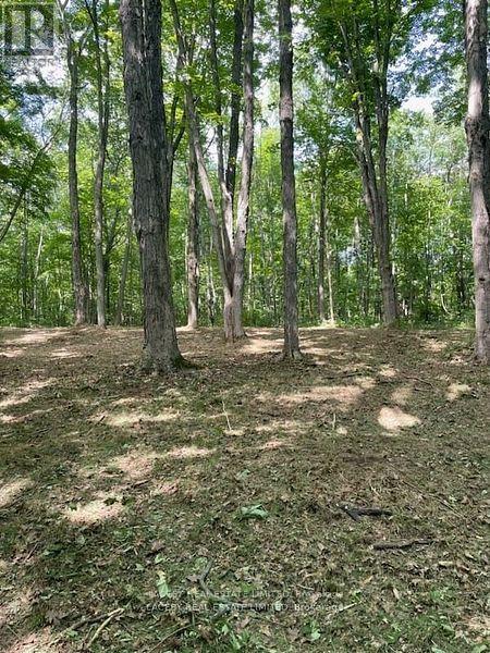 Photo 9 of 4090 17th Side Road, King ON