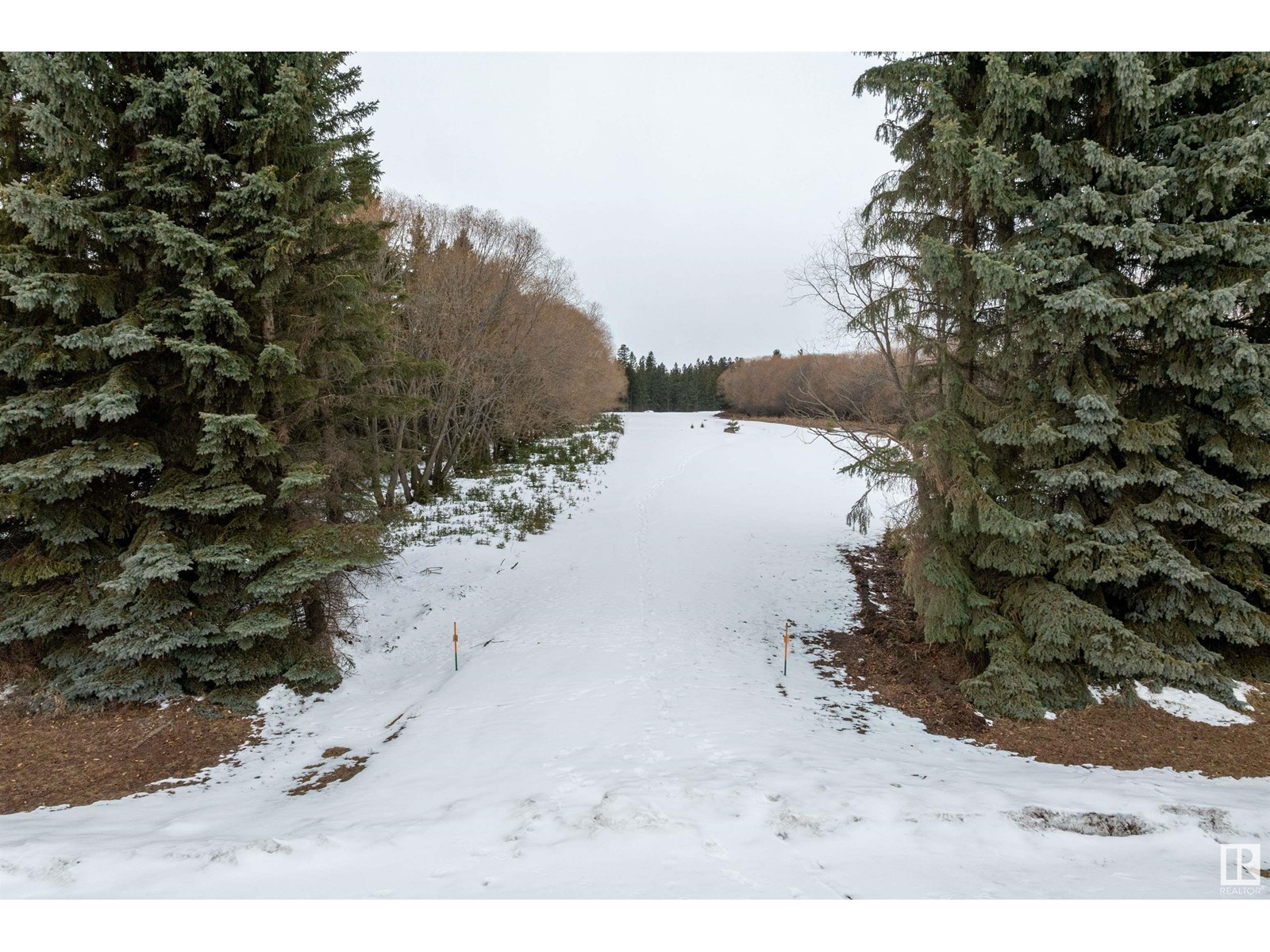 Photo 20 of 470048 Range Road 243, Rural Wetaskiwin County AB
