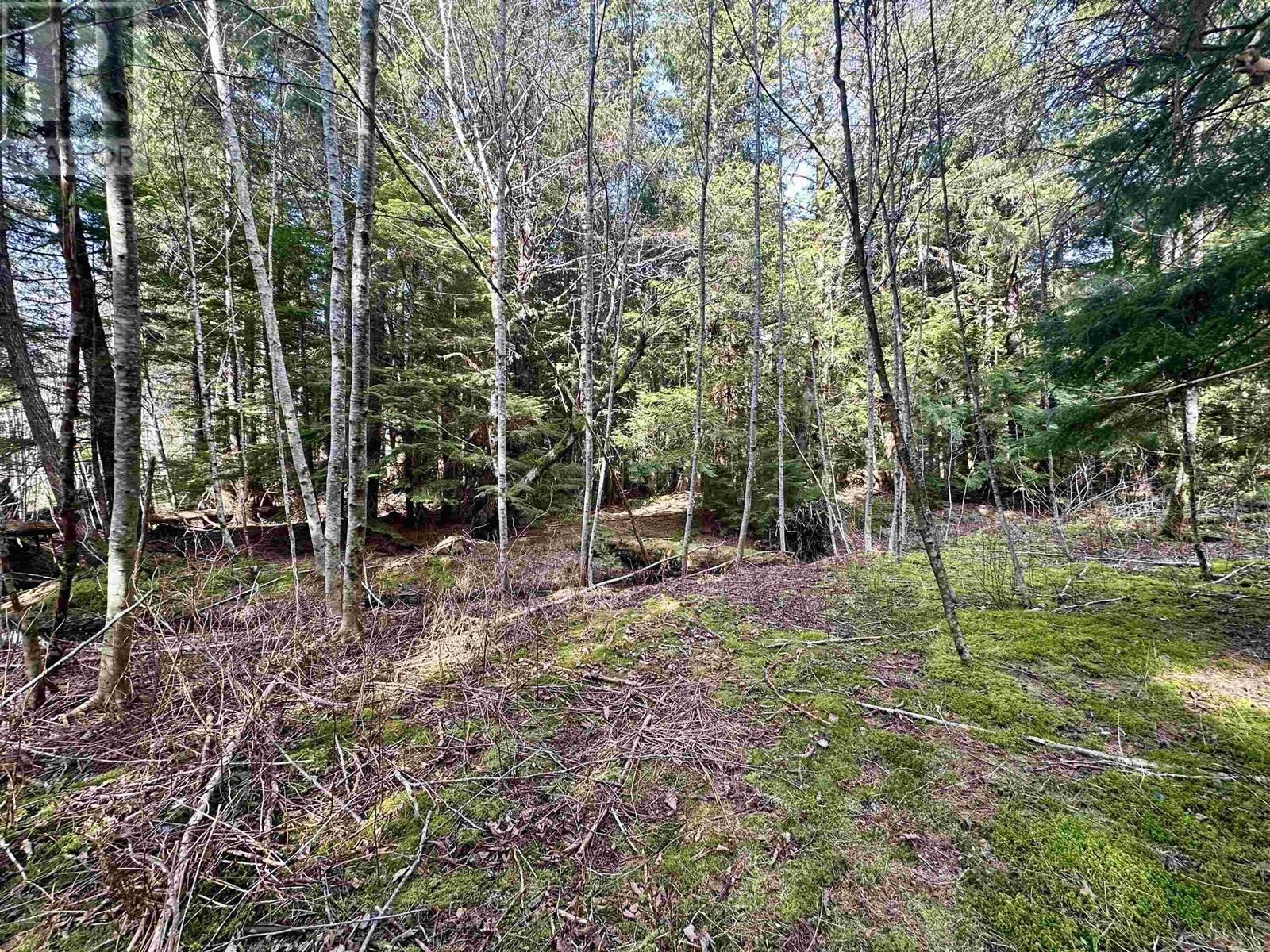 2712 EGAN ROAD - 22