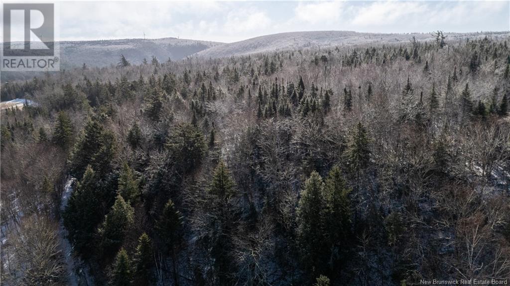 Photo 8 of Flint Hill Road, Prosser Brook NB
