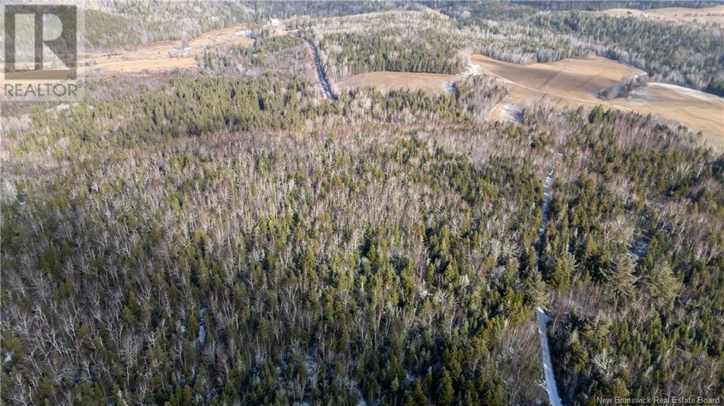 Photo 13 of Flint Hill Road, Prosser Brook NB