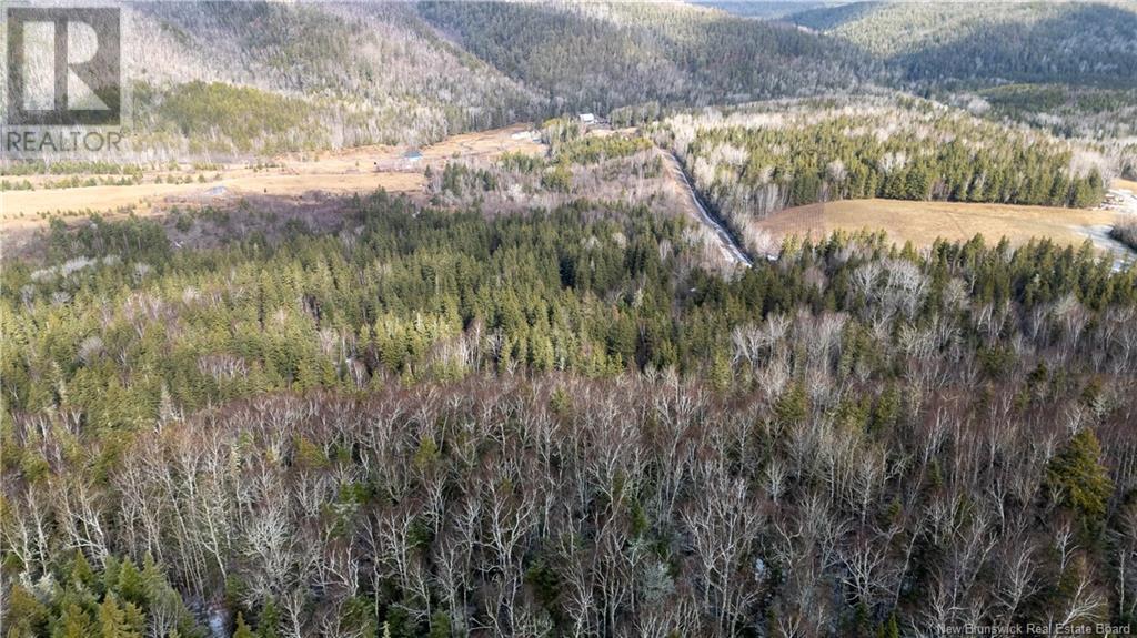 Photo 14 of Flint Hill Road, Prosser Brook NB