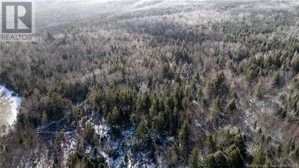 Photo 10 of Flint Hill Road, Prosser Brook NB