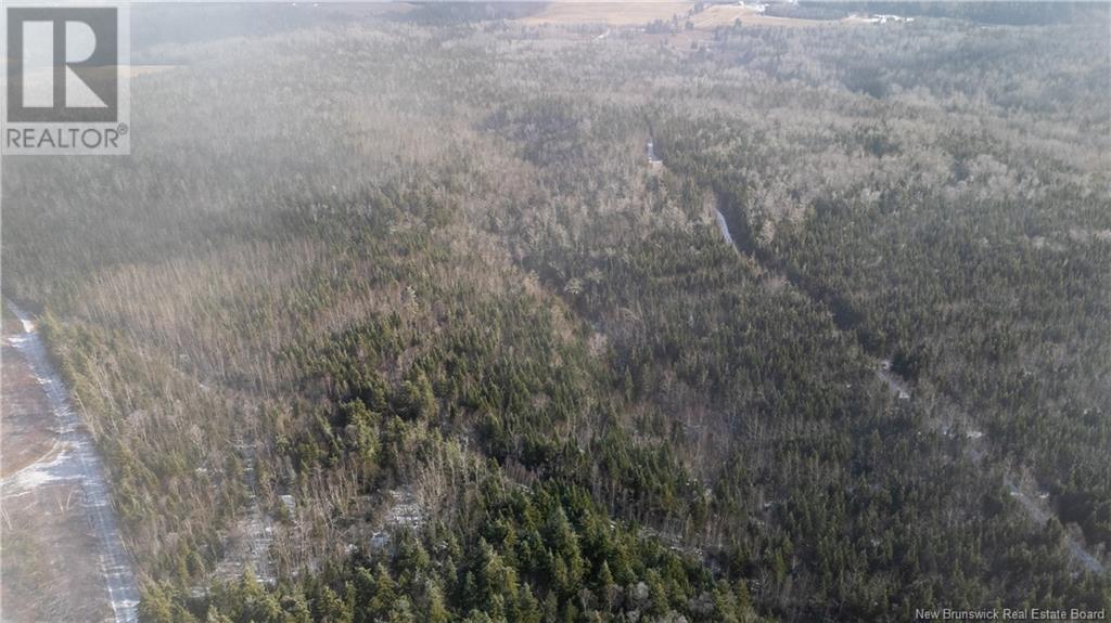Photo 12 of Flint Hill Road, Prosser Brook NB