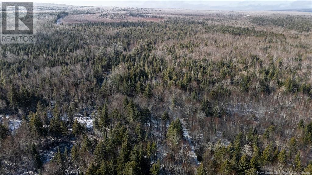 Photo 5 of Flint Hill Road, Prosser Brook NB