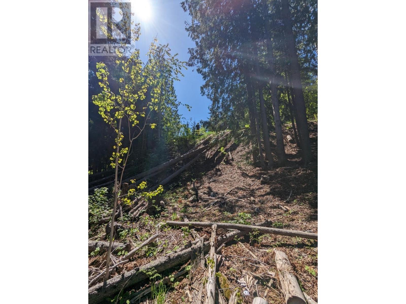  Lot 17 BALFOUR Crescent, Kaslo