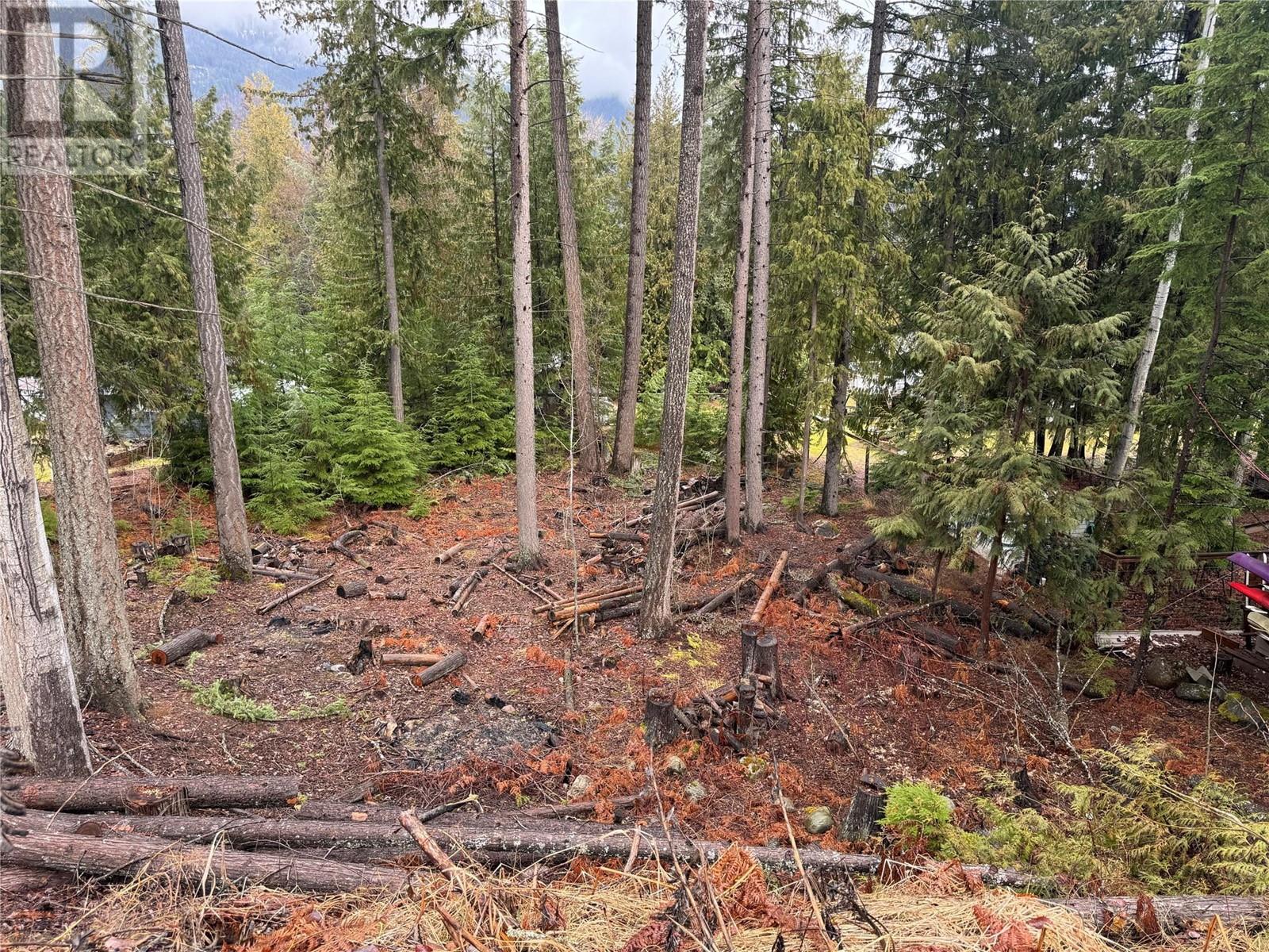  Lot 17 BALFOUR Crescent, Kaslo