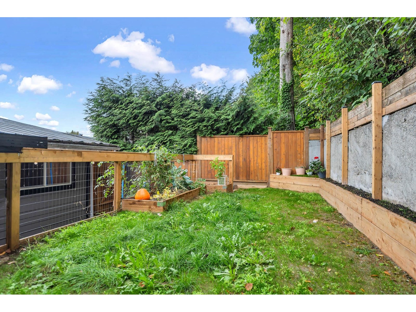 34662 IMMEL STREET, Abbotsford real estate listing R2975549