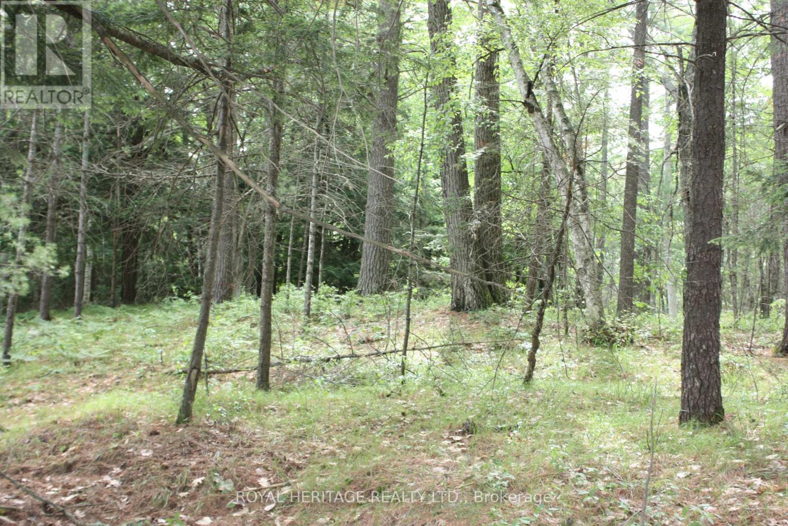 Photo 10 of Lot 2 N A Wao Kasshabog Lake, Havelockbelmontmethuen ON