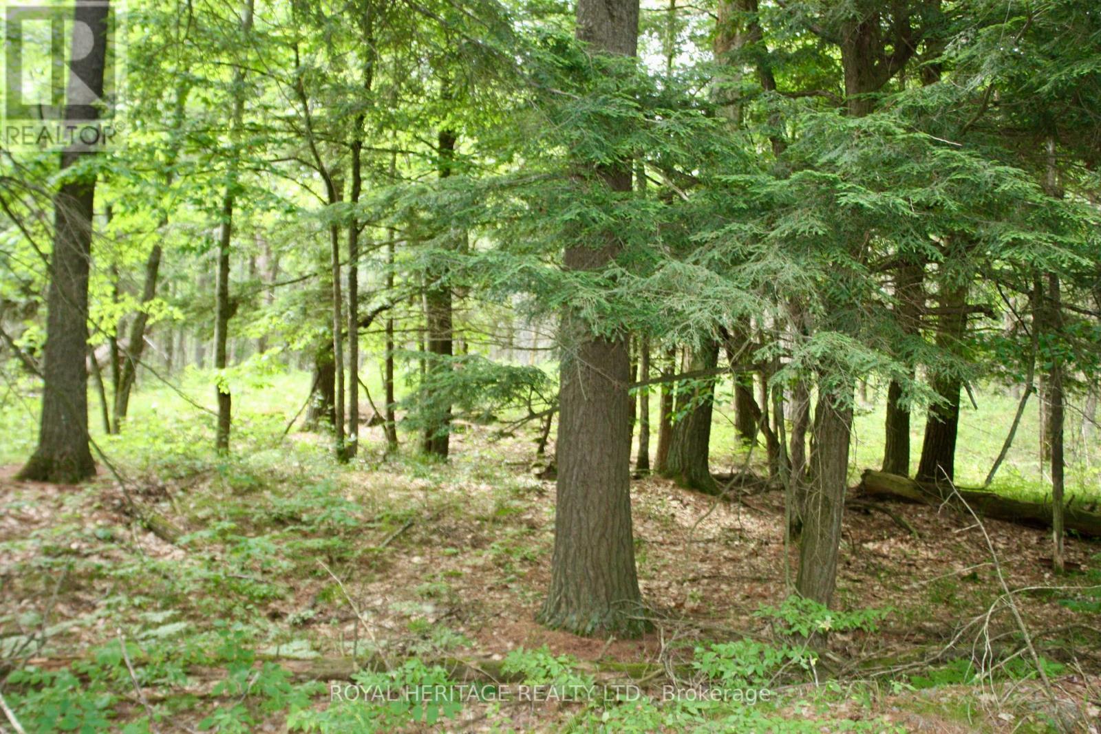 Photo 13 of Lot 2 N A Wao Kasshabog Lake, Havelockbelmontmethuen ON