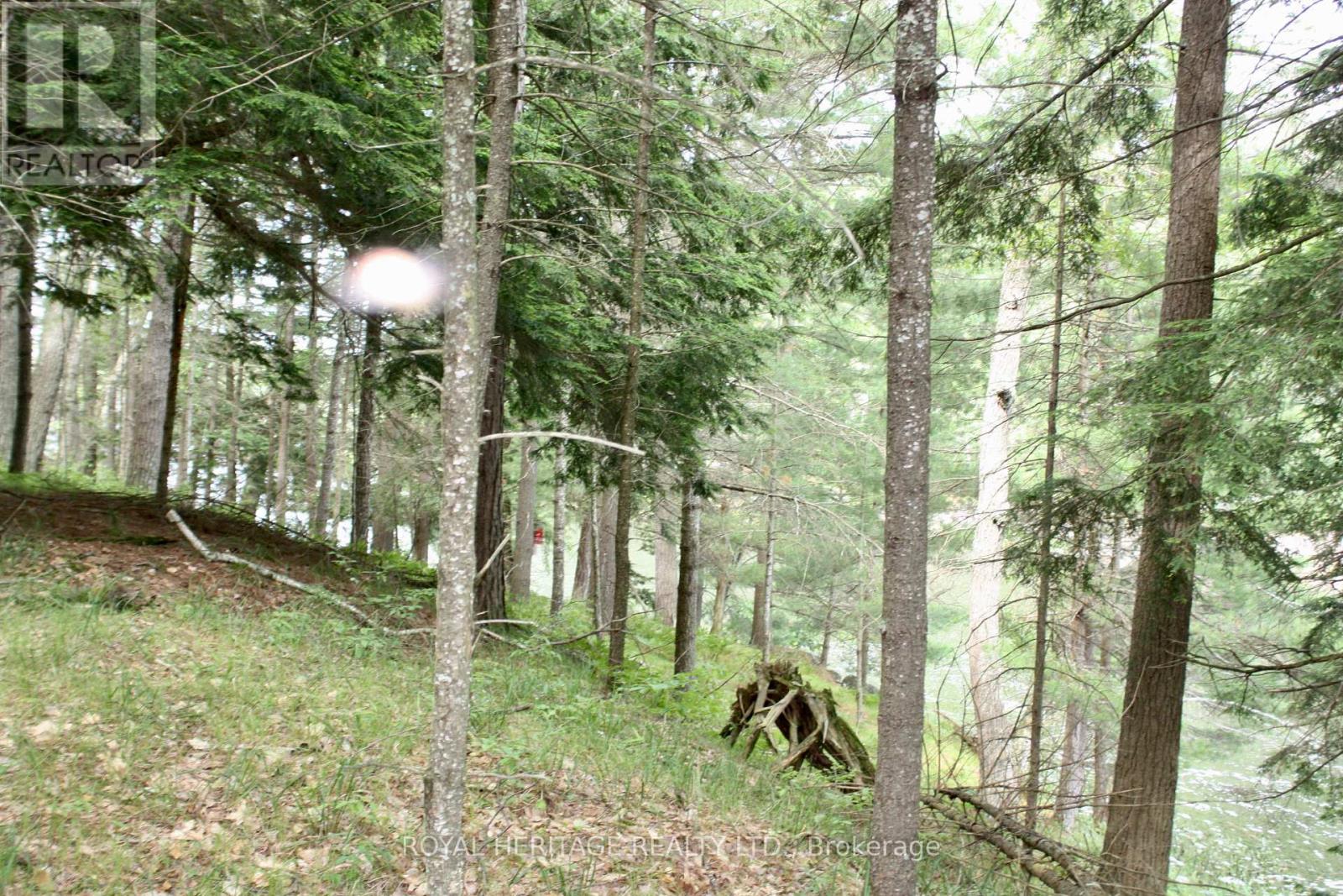 Photo 14 of Lot 2 N A Wao Kasshabog Lake, Havelockbelmontmethuen ON