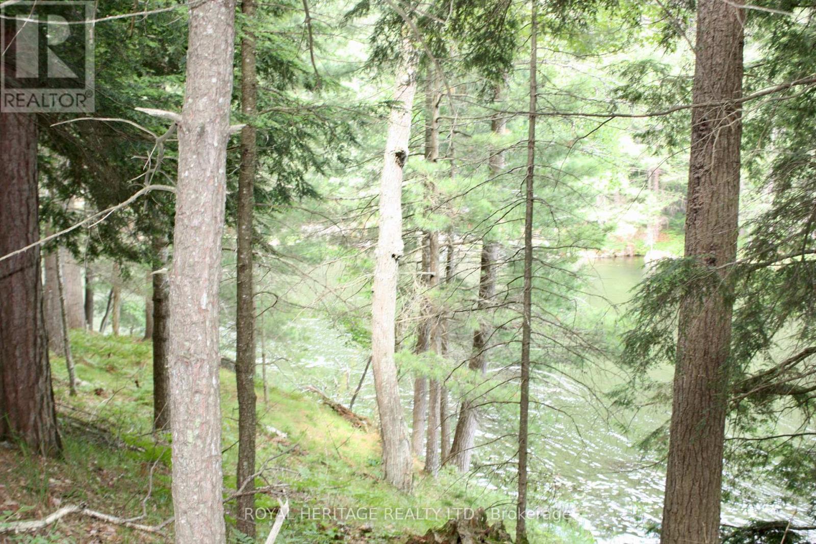 Photo 15 of Lot 2 N A Wao Kasshabog Lake, Havelockbelmontmethuen ON