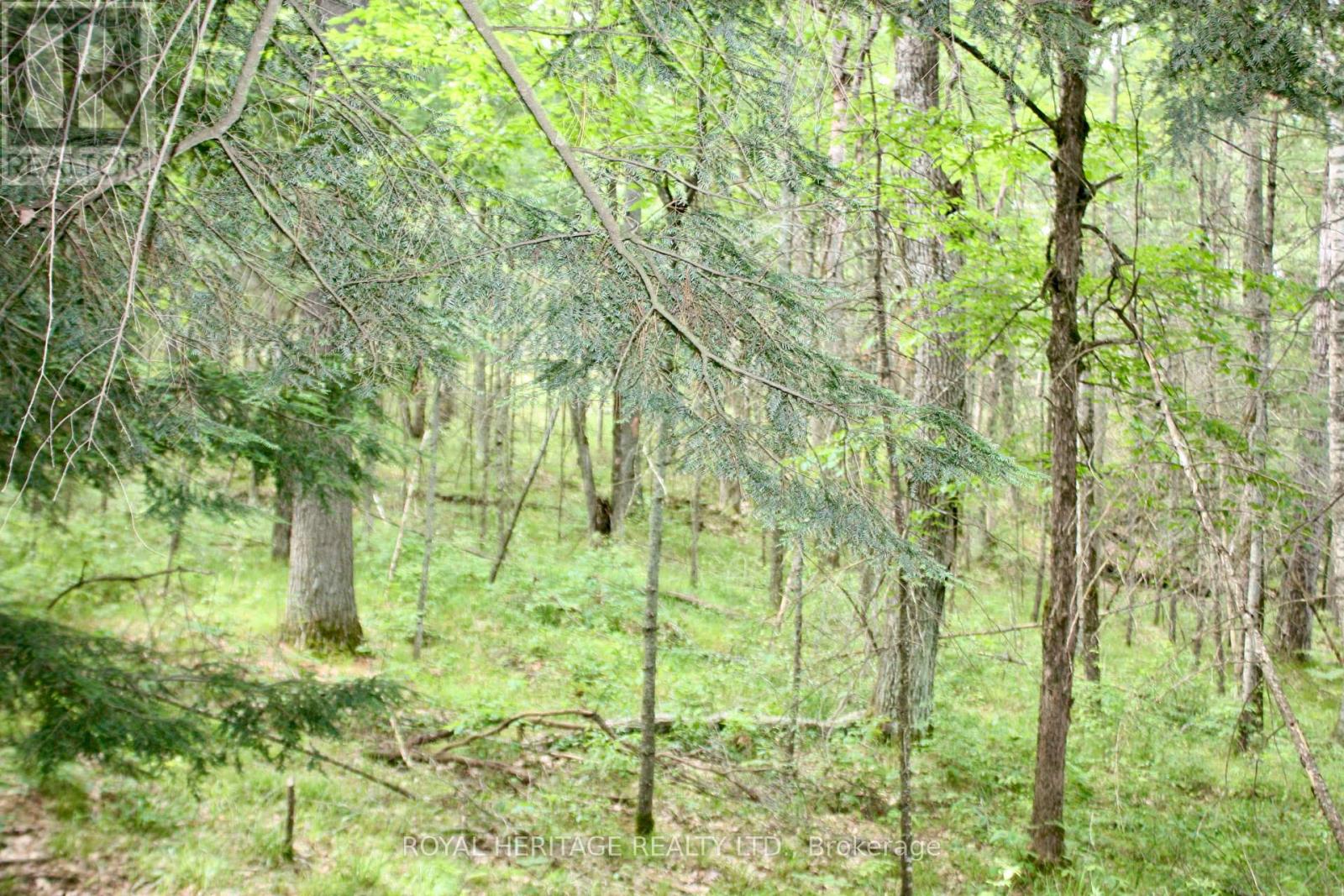 Photo 16 of Lot 2 N A Wao Kasshabog Lake, Havelockbelmontmethuen ON