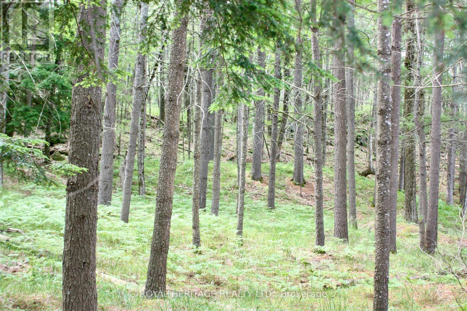Photo 18 of Lot 2 N A Wao Kasshabog Lake, Havelockbelmontmethuen ON